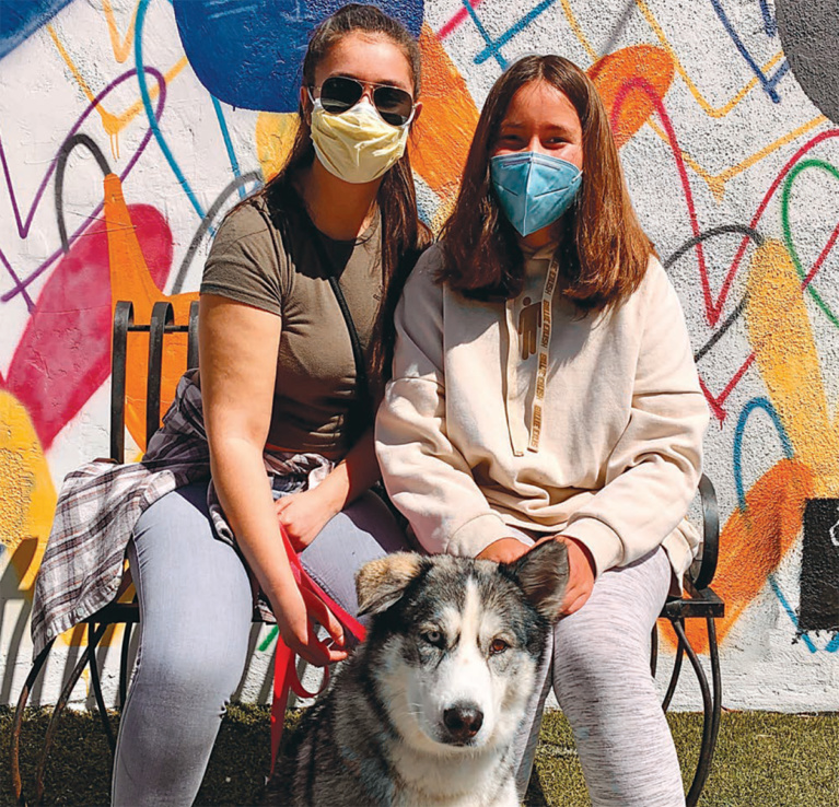 Thousands of Shelter Pets Find Homes Amidst COVID-19 Pandemic