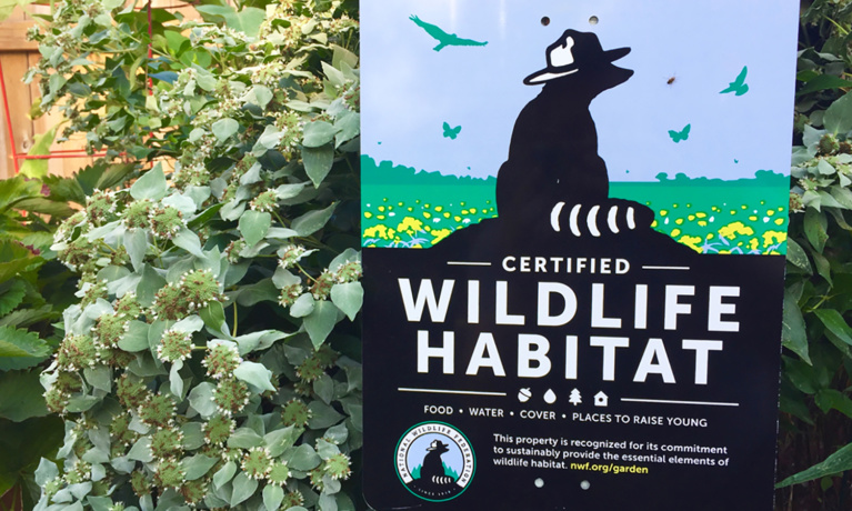 Two Certified Wildlife Habitats Created in WeHo