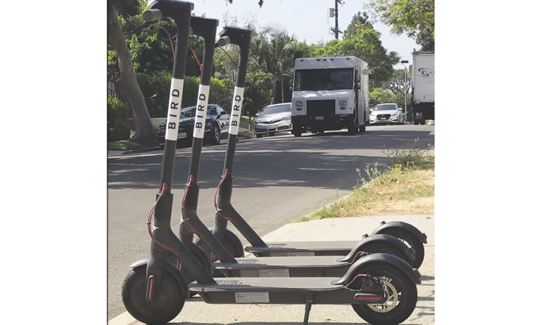 Bird Sues Beverly Hills Over Scooter Ban