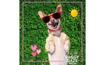Voting Closes Feb. 15 for Doggy Daze Photo Contest