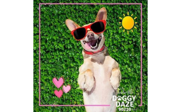 Doggy Daze Returns to Roxbury Park on Nov. 6