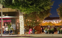 Council Approves Open Air Dining Permit Waivers
