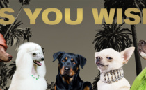 Beverly Hills Launches Pet-Friendly “As You Wish” Campaign