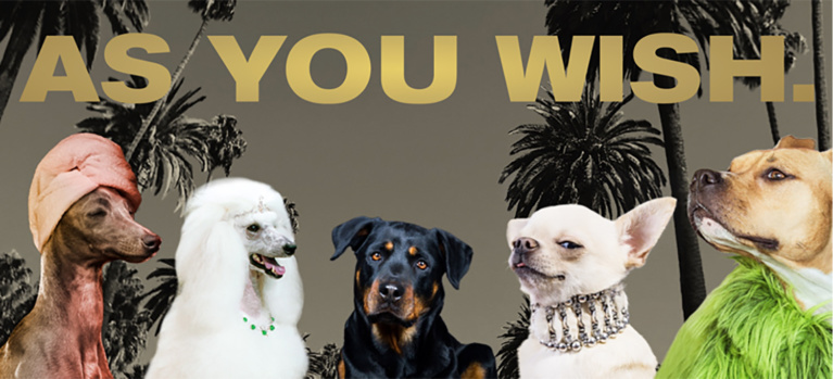 Beverly Hills Launches Pet-Friendly “As You Wish” Campaign