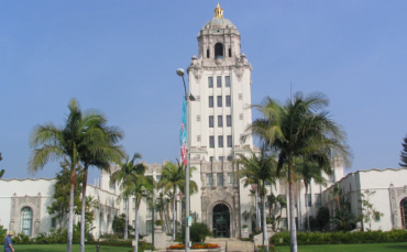 Change Proposed for Beverly Hills Trees in Face of Climate Change