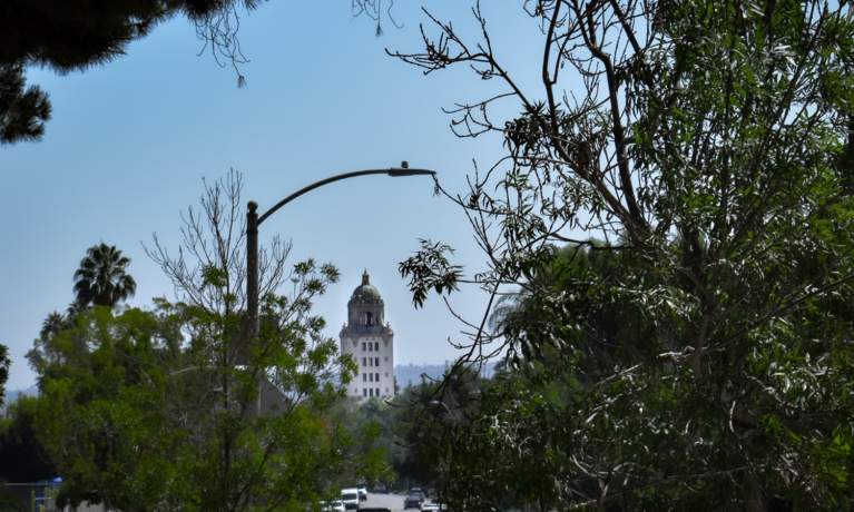 Change Proposed for Beverly Hills Trees in Face of Climate Change