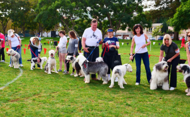 Thousands Take Part in Doggy Daze 90210