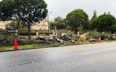 Storm Causes Damage in Beverly Hills and Southland