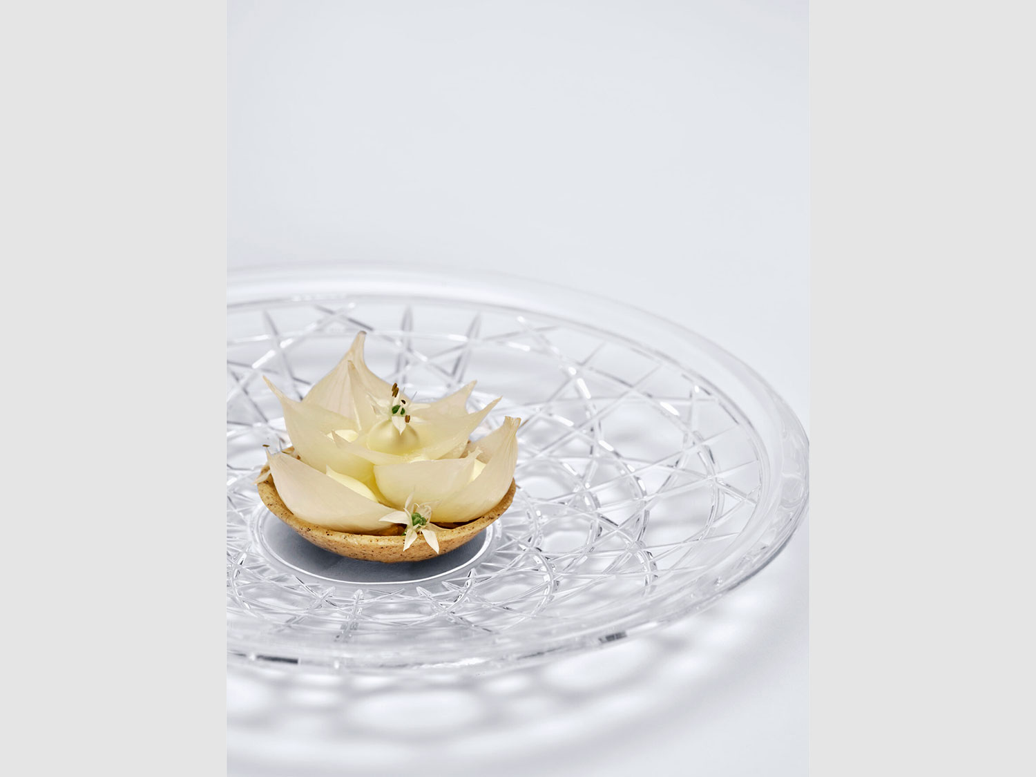 OnionTart onion tart from the monsieur dior menu Photo courtesy of monsieur dior